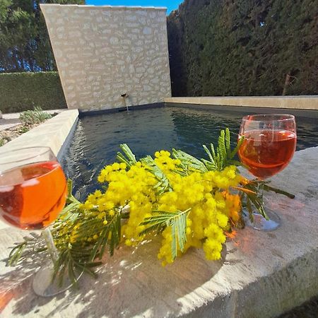 La Maison De Manon, 4-5Personnes, 75M2, Centre Village Avec Piscine Privee モサーヌ・レ・ザルピイユ エクステリア 写真