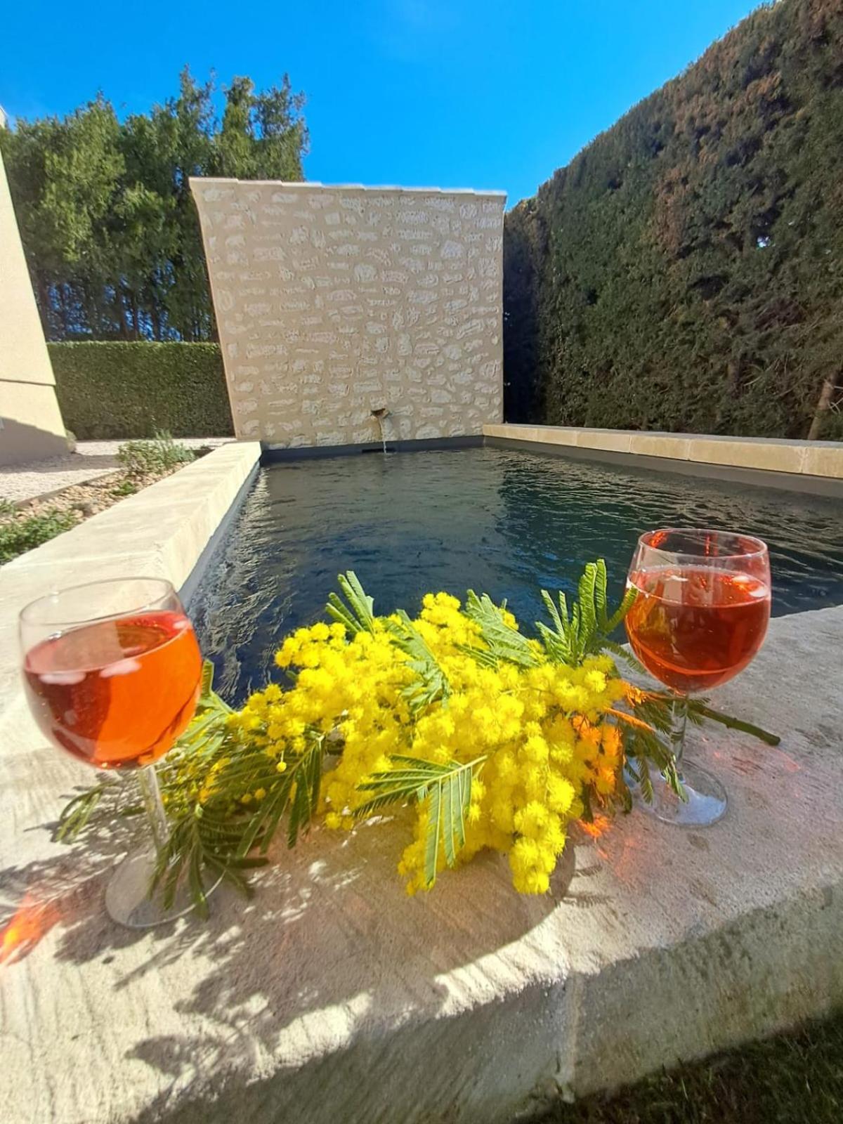 La Maison De Manon, 4-5Personnes, 75M2, Centre Village Avec Piscine Privee モサーヌ・レ・ザルピイユ エクステリア 写真
