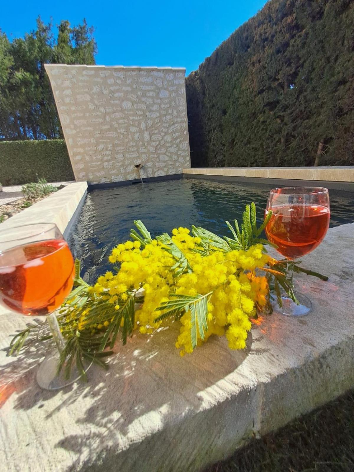 La Maison De Manon, 4-5Personnes, 75M2, Centre Village Avec Piscine Privee モサーヌ・レ・ザルピイユ エクステリア 写真